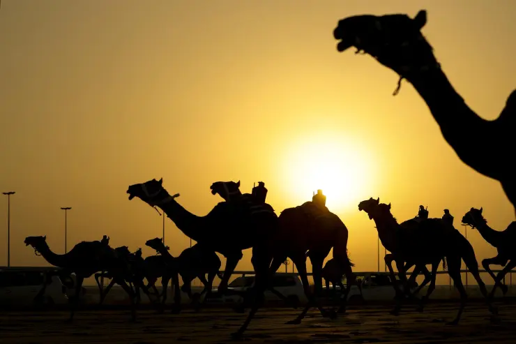 Clima en Qatar 2022