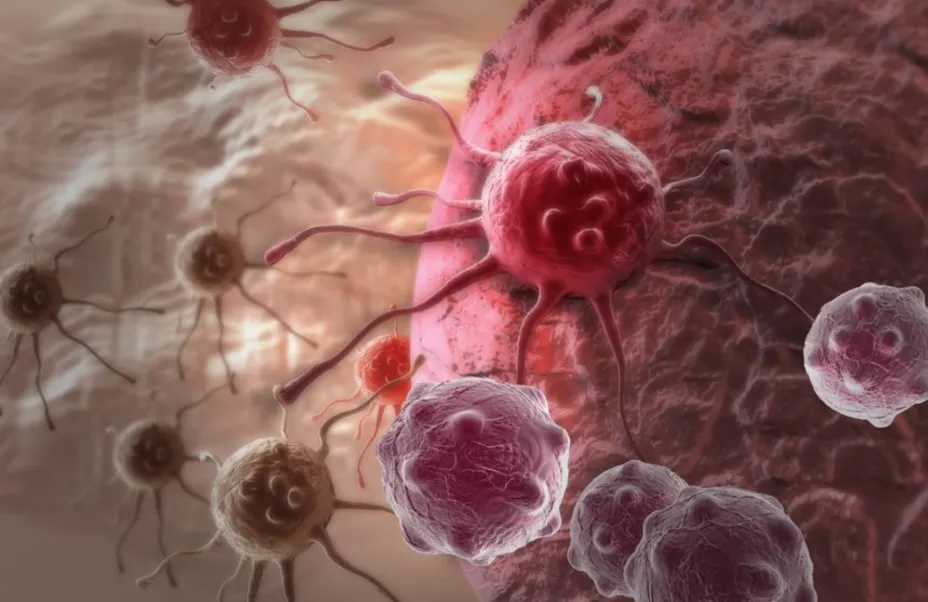 Leucemia Cancer unnamed.jpg