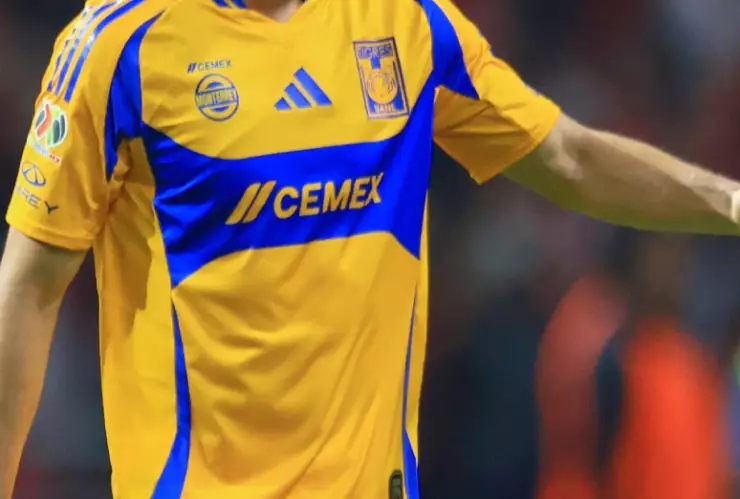 Camiseta de Tigres