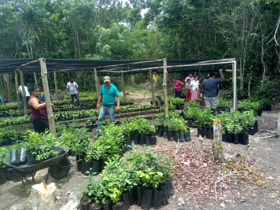 Campeche bienestar .jpg