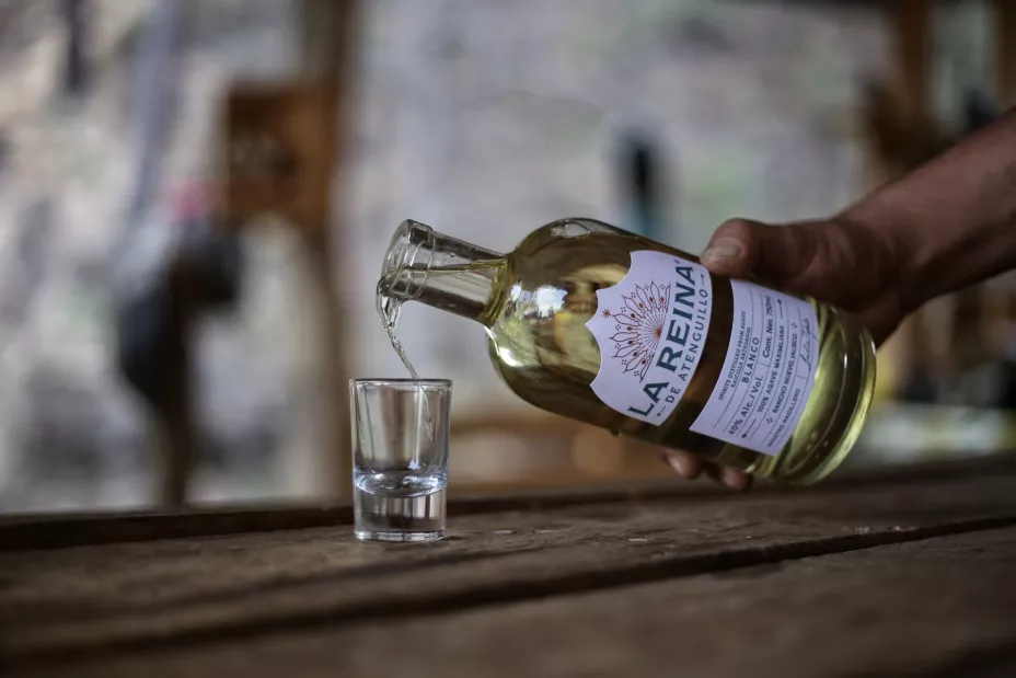 Raicilla_La Reina.jpg