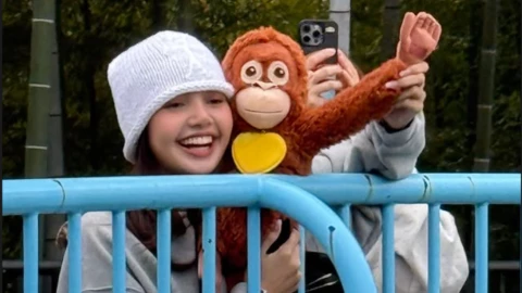 LISA de BLACKPINK presume tierno encuentro con Punch, el mono bebé viral