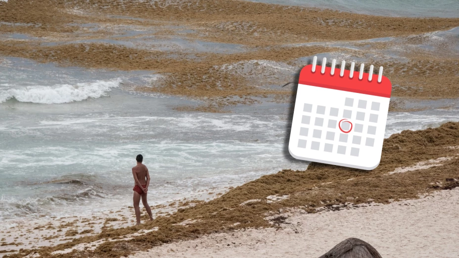 Sargazo en Cancún 2025: Conoce los meses clave de la temporada en el Caribe Mexicano
