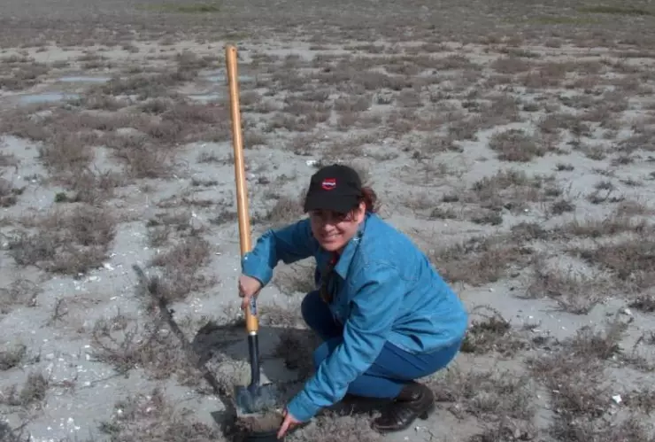 La doctora Angélica del Carmen Ruiz Font, adscrita al CIBA de Tlaxcala, indicó que a partir de esta biotecnología fue posible seleccionar, de alrededor de 40 microorganismos,
