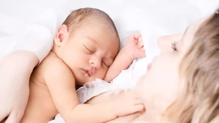 bebe