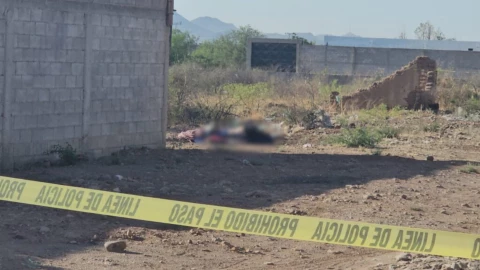 sin vida granjas del valle.jpg