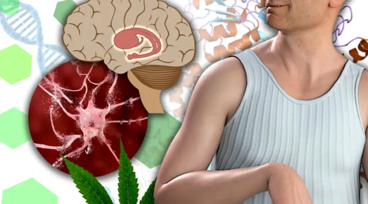 ¿Qué es la enfermedad de Huntington? Síntomas principales y causas