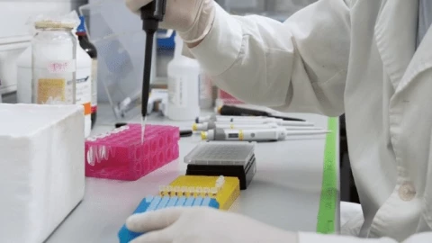 Sana el nuevo medicamento contra la obesidad que se desarrolla en Uruguay