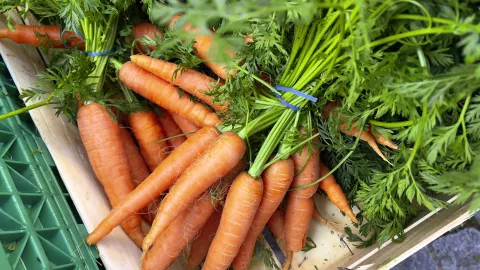 El jugo de zanahoria, un aliado para el cuidado de la piel