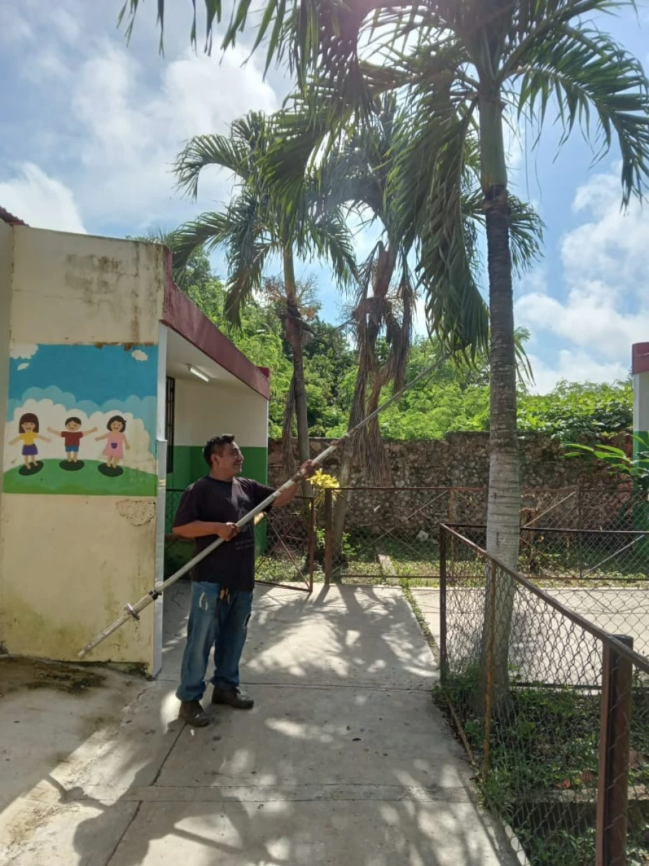 Enjambre de abejas representa peligro en escuela de este municipio de Yucatán