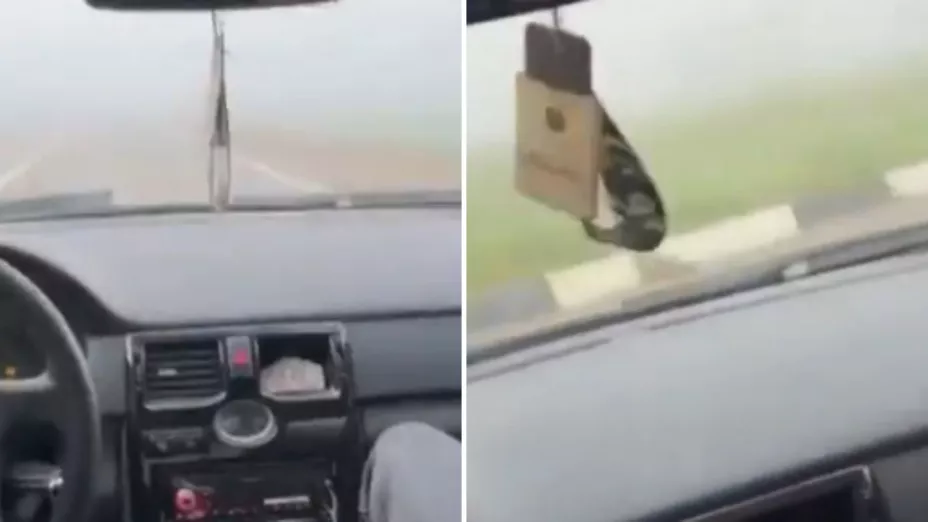Se graban a 180 kmh en medio de la niebla.jpg