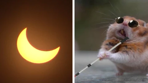 Los-mejores-memes-del-eclipse-solar-anular-de-hoy-14-de-febrero-2023