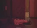 muñecas poseídas lo que la gente cuenta