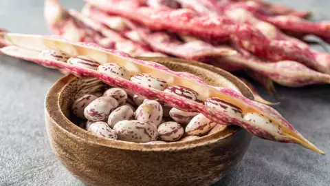 Crisis agrícola de frijol