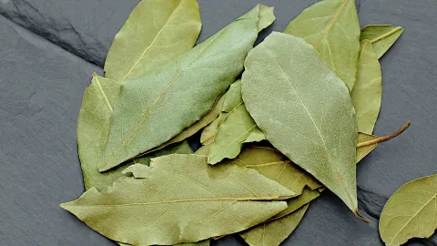 Hojas de laurel para hacer rituales en otoño 2026
