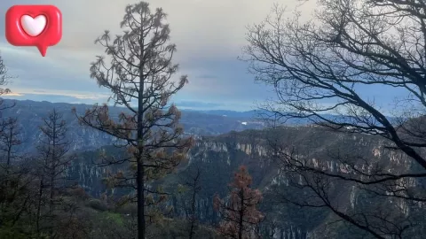 El pueblo desconocido de Chihuahua que enamora con sus bosques infinitos, según la IA.jpg
