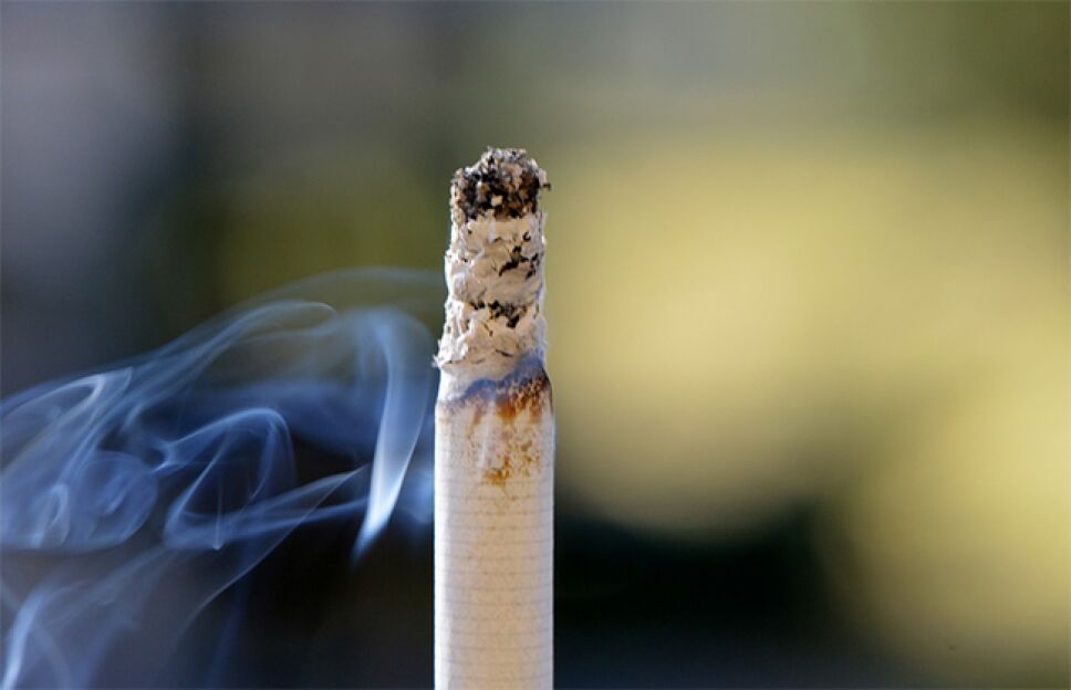 cigarro