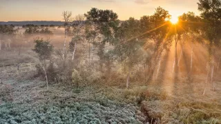 ¿Cuándo llega el frente frío 15 a México y cómo afectará al clima en Aguascalientes