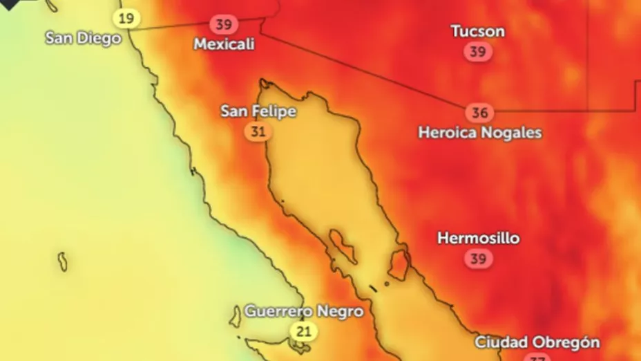 Efectos de la canícula Baja California