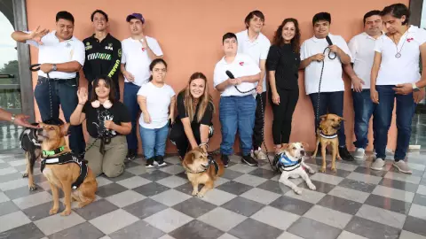 Presentan a los REYES CANINOS del Carnaval Mérida 2026: 5 perritos RESCATADOS