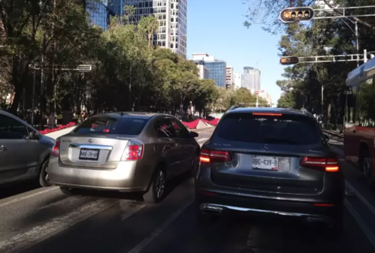 marchas-movilizaciones-25-noviembre-2024