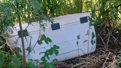 Nevera restos humanos