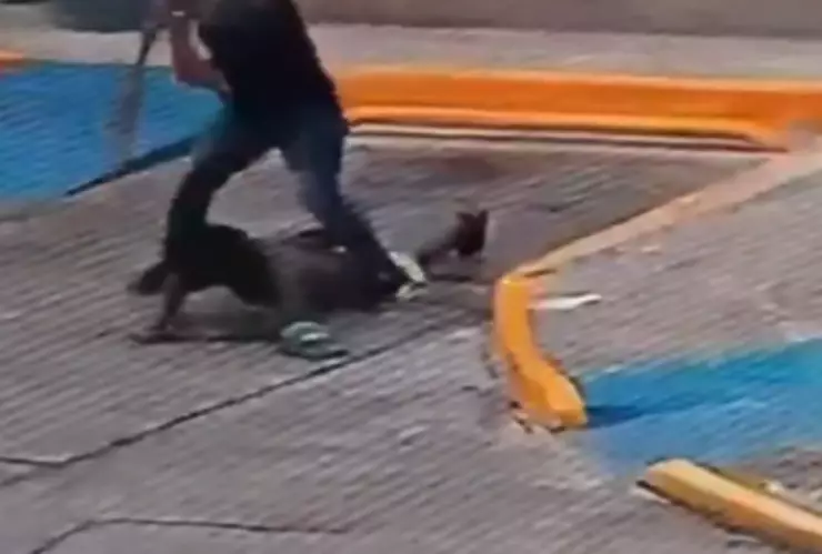 Captan momento en que sujeto amputa las manos de un hombre con una pala
