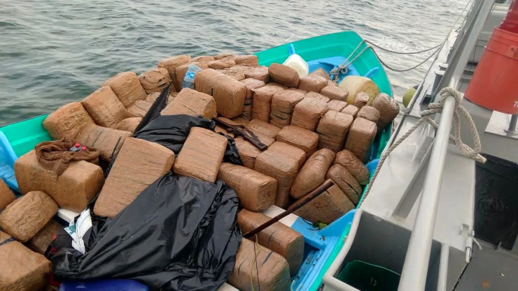Tonelada y media de marihuana Baja California Sur