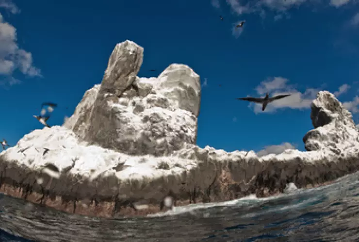 Revillagigedo consejo