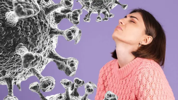 virus del vómito