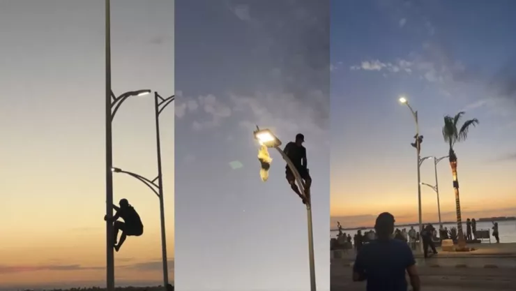 Rescate de gaviota en La Paz: joven escala poste eléctrico y arriesga su vida