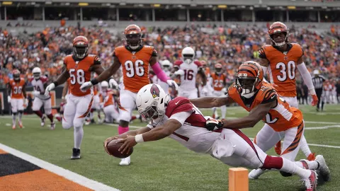 Arizona Cardinals v Cincinnati Bengals
