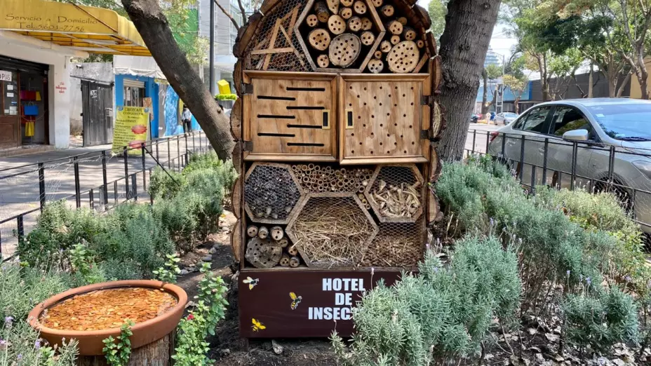 Hoteles y bebederos para insectos .jpg
