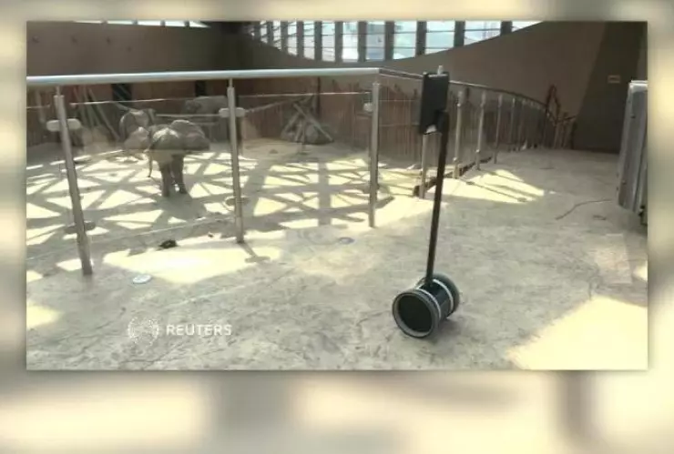 Niños hospitalizados visitan zoológico desde su cama