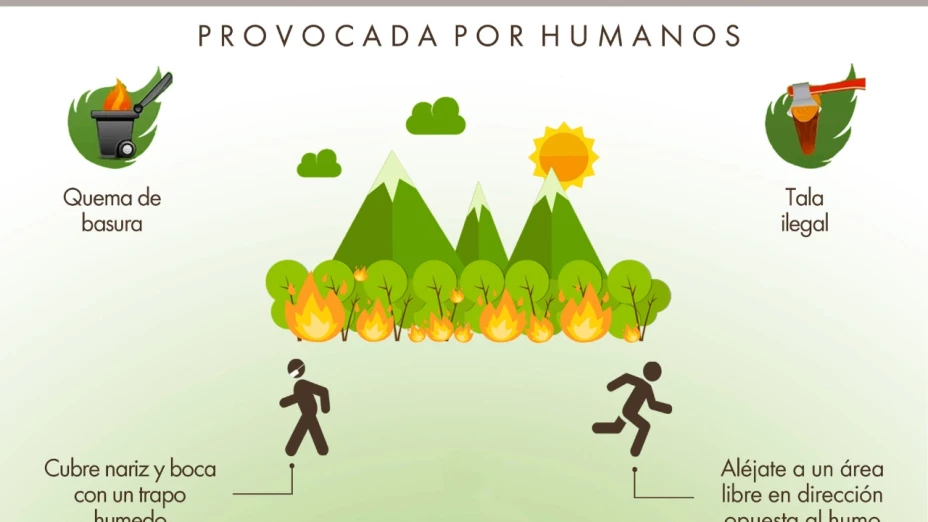 Bacalar registra el primer incendio de la temporada 2022