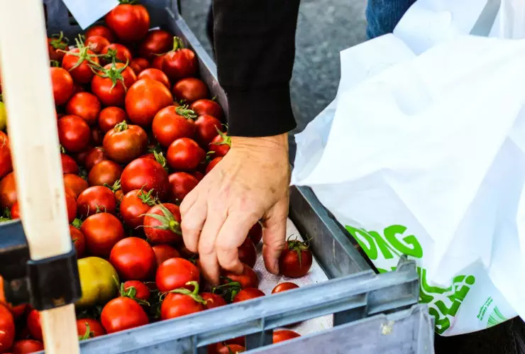 ¿Cómo afecta la inflación en Guanajuato?