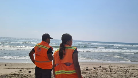niña desaparecida Playa Azul Michoacán