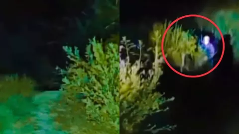 Captan extraña figura en Veracruz