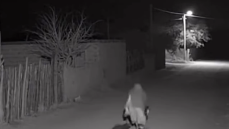 Video: Captan momento en el que una “bruja” se transforma en guajolote