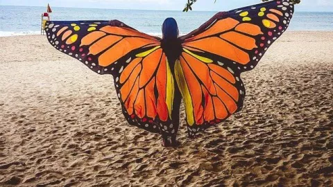 festival de la primavera