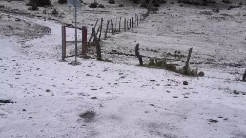 FOTOS: Así quedó Nuevo León tras la nevada por el frente frío 11