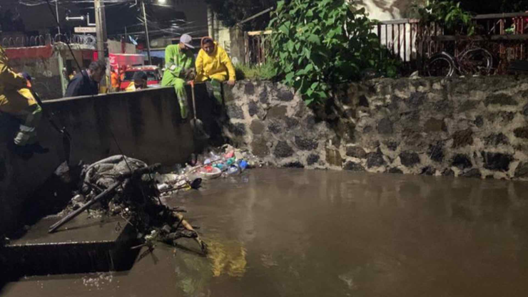 botarga rata alcaldía la magdalena contreras.jpg