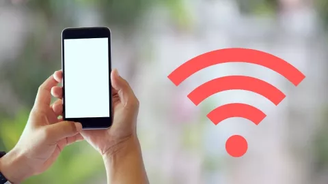 celulares, internet a.jpg