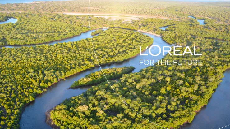 loreal.jpg