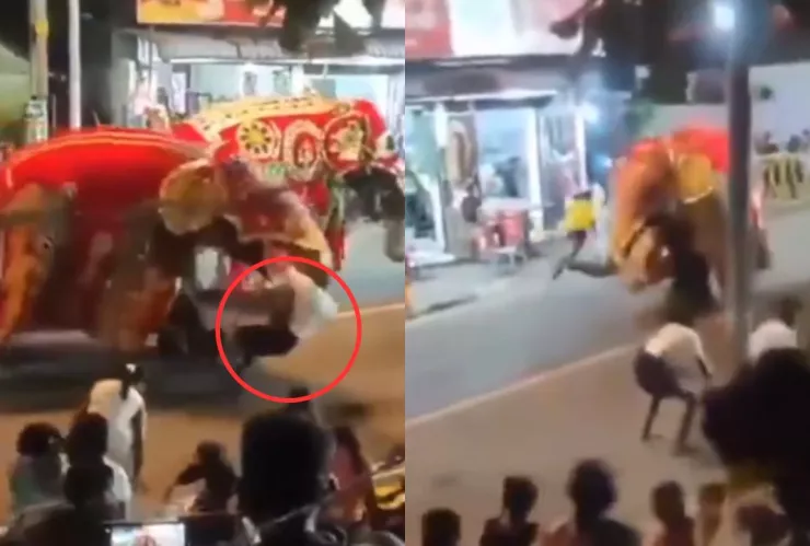 ¡VIDEO tenso! En pleno desfile religioso, elefante pierde el control y ataca brutalmente a su cuidador