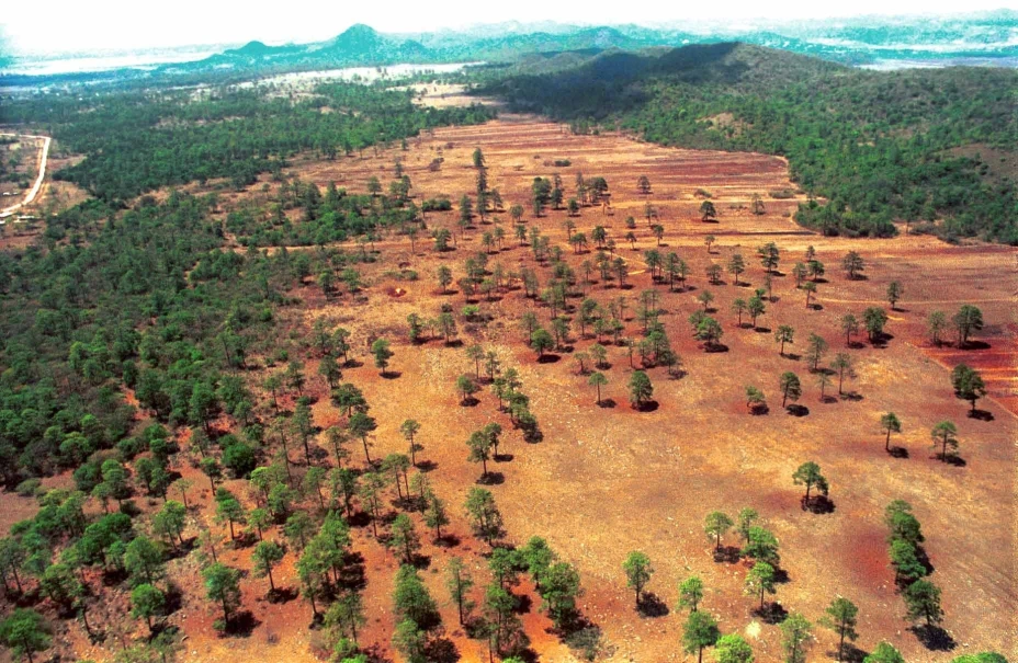 Una vista panorámica de la deforestación que desde hace varios años sufren las montañas del Estado de Chiapas. FOTO: Pedro Valtierra/CUARTOSCURO.COM