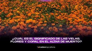 Velas, flores y copal son elementos esenciales en los altares de Día de Muertos
