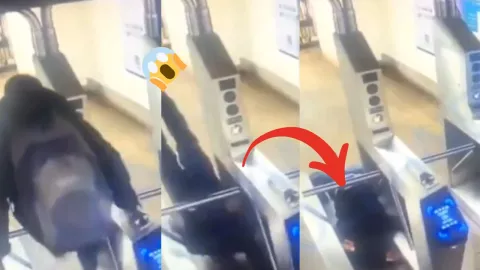 Diseño sin título - 2024-08-05T152547.610.jpg