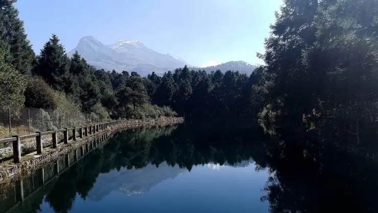 Nexcoalango