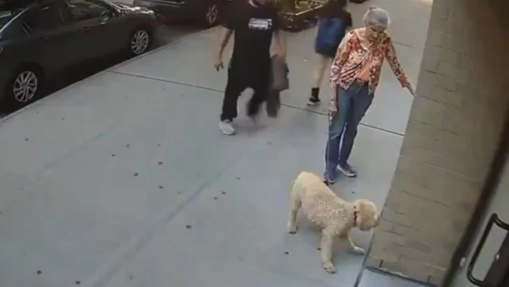 Hombre golpea mujer tercera edad